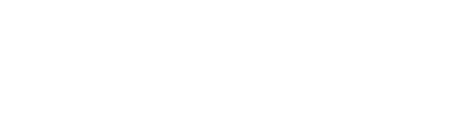 Diinsel Logo